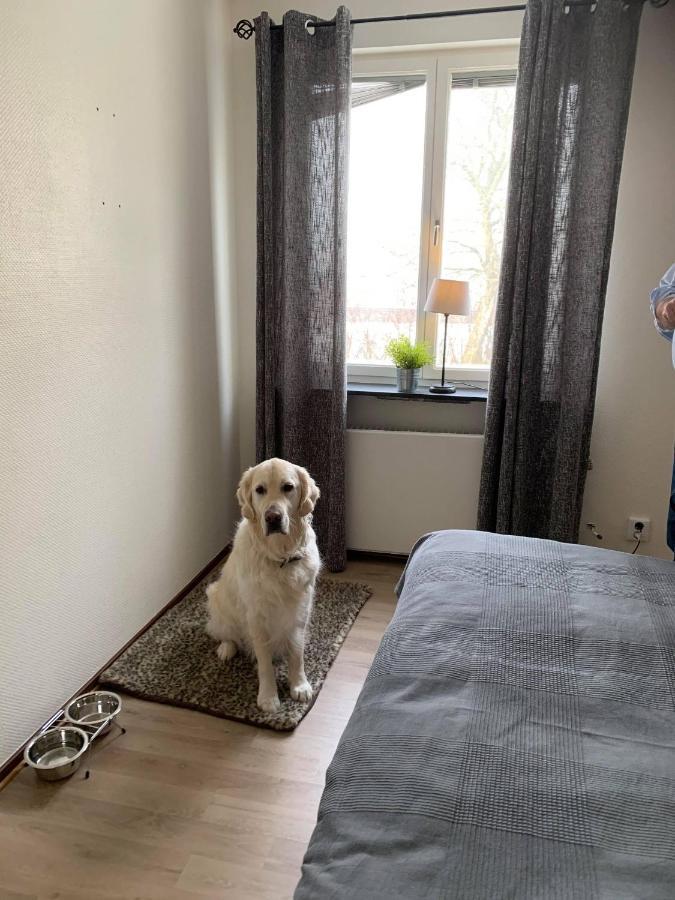 Bralanda Hotell Och Vandrarhem Eksteriør bilde